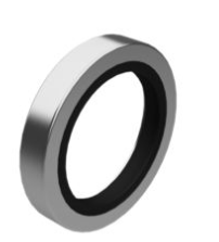 Genuine Carter labial seal